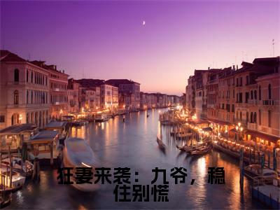 高赞小说狂妻来袭:九爷,稳住别慌(何以安傅聿城)完结阅读_何以安傅聿城狂妻来袭:九爷,稳住别慌免费看全文