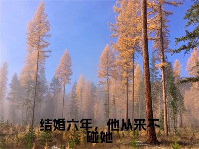 结婚六年，他从来不碰她（沈念潇秦知勉小说）全文免费阅读无弹窗大结局_结婚六年，他从来不碰她最新章节列表笔趣阁（沈念潇秦知勉）