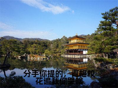 分手你提的,青梅校花追我你哭啥(凌川最新章节)在线阅读-免费小说分手你提的,青梅校花追我你哭啥全文阅读