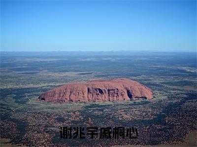 谢兆宇戚桐心（戚桐心谢兆宇）全文小说-谢兆宇戚桐心小说最新章节免费阅读