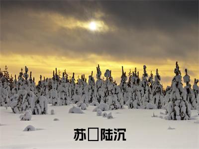 陆沉苏琓小说(苏琓陆沉小说)全文免费阅读无弹窗大结局_(陆沉苏琓小说免费阅读)苏琓陆沉小说无弹窗最新章节列表_笔趣阁(陆沉苏琓小说)