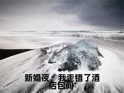 新婚夜，我走错了酒店包间 精彩小说赏析全文 路小凝宗政烨热门小说免费阅读