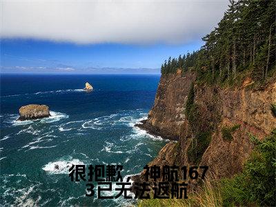 很抱歉,神航1673已无法返航 全文免费阅读无弹窗大结局_(很抱歉,神航1673已无法返航 小说)许南妤傅寒峥在线免费阅读