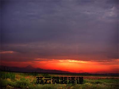 苏云微裴泽谨小说(裴泽谨苏云微)全文免费阅读-苏云微裴泽谨全文阅读无弹窗