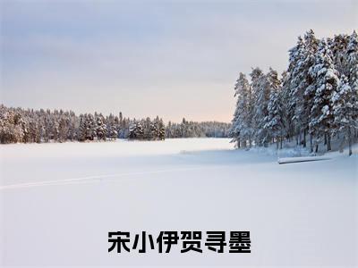 宋小伊贺寻墨全文（贺寻墨宋小伊）全文免费阅读无弹窗大结局_（贺寻墨宋小伊）宋小伊贺寻墨最新章节列表笔趣阁（贺寻墨宋小伊）