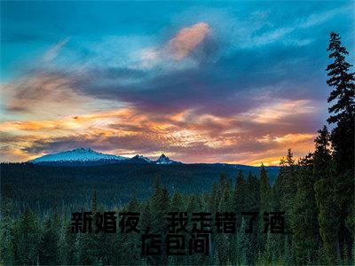 新婚夜,我走错了酒店包间 小说最新试读_路小凝宗政烨是(新婚夜,我走错了酒店包间 全文完整版免费阅读)_笔趣阁