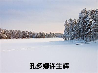 (许生辉孔多娜)全文免费阅读无弹窗大结局_(孔多娜许生辉全文免费)许生辉孔多娜小说最新章节列表_笔趣阁(孔多娜许生辉)