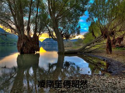 凌南笙傅昭然小说(傅昭然凌南笙)全文免费阅读无弹窗大结局_(傅昭然凌南笙)凌南笙傅昭然小说无弹窗精彩阅读_笔趣阁