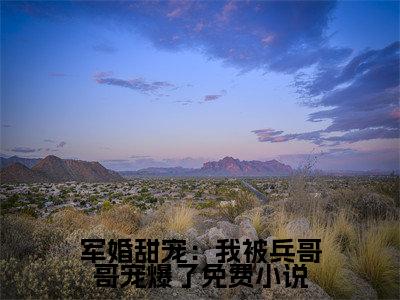 军婚甜宠：我被兵哥哥宠爆了（ 时听雨陆卫国全章节完整版）免费阅读_（ 时听雨陆卫国）军婚甜宠：我被兵哥哥宠爆了全文无删减免费阅读
