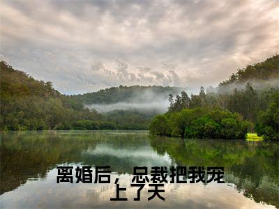 离婚后,总裁把我宠上了天 (慕言旭秦安安)全文阅读_小说离婚后,总裁把我宠上了天 免费阅读(慕言旭秦安安)笔趣阁