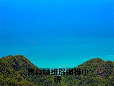 小说(重生后怒甩渣夫，军婚甜如蜜)全文免费阅读_( 言真顾维琛)小说全文免费阅读