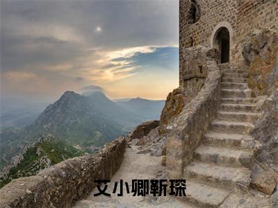 艾小卿靳琛免费小说（靳琛艾小卿）全本免费阅读-艾小卿靳琛最新章节列表