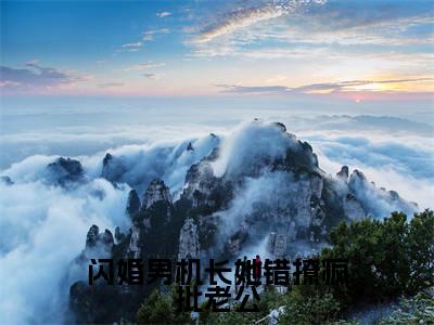  虞非晚裴骁南小说（闪婚男机长她错撩疯批老公）全文免费读无弹窗大结局_ 虞非晚裴骁南小说免费阅读-笔趣阁（闪婚男机长她错撩疯批老公）