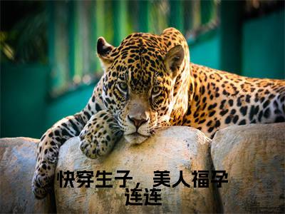快穿生子,美人福孕连连小说全文免费阅读无弹窗大结局-纪云欢 小说在哪里可以看