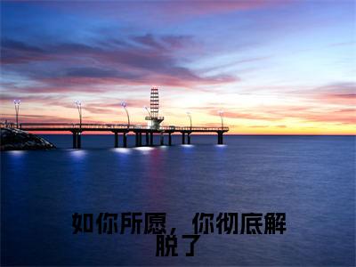 南栀周辞深（如你所愿，你彻底解脱了）小说推荐精彩章节全文阅读-热门小说如你所愿，你彻底解脱了（南栀周辞深）精选章节阅读