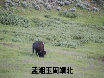 周靖北孟湘玉(孟湘玉周靖北)全文免费阅读无弹窗_(周靖北孟湘玉全文免费阅读无弹窗)周靖北孟湘玉最新章节列表_笔趣阁(孟湘玉周靖北)