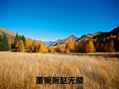 赵无陵董婉婉小说-《董婉婉赵无陵》完整章节阅读无弹窗免费阅读大结局