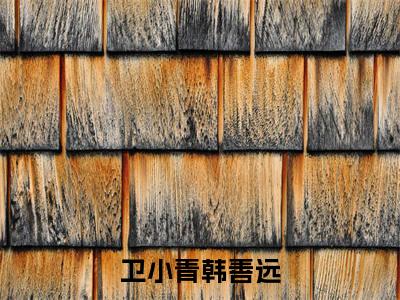 卫小青韩善远全文免费在线阅读大结局_（韩善远卫小青免费阅读无弹窗）卫小青韩善远全文免费完结版阅读（韩善远卫小青）