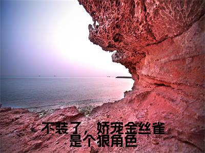 不装了，娇宠金丝雀是个狠角色全文免费阅读无弹窗大结局，周宁宋祈年小说精彩免费试读
