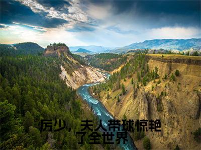 厉少,夫人带球惊艳了全世界最新热门小说-(南向婉厉寒风)最新章节免费阅读