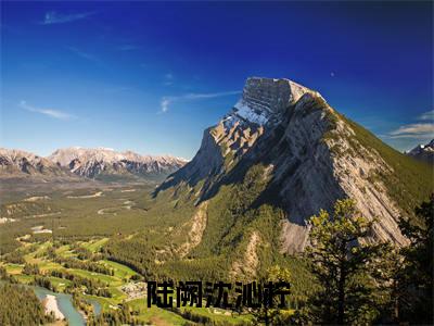 沈沁柠陆阙(陆阙沈沁柠)小说好看吗-沈沁柠陆阙最后结局如何(陆阙沈沁柠)小说无弹窗免费阅读