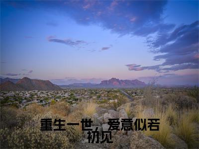 重生一世,爱意似若初见黎锦儿顾青云小说免费阅读-重生一世,爱意似若初见抖音新书热荐