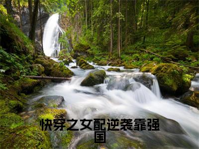 林玉(快穿之女配逆袭靠强国)小说结局-林玉全文无弹窗阅读