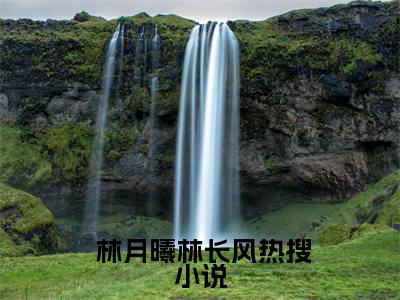  林月曦林长风（女儿觉醒记忆后，把我身份曝光了？）全文免费阅读无弹窗大结局_（女儿觉醒记忆后，把我身份曝光了？无弹窗）最新章节免费阅读_笔趣阁