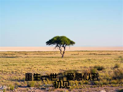 重生一世，爱意似若初见精彩章节免费阅读_（黎锦儿顾青云）重生一世，爱意似若初见抖音热推小说最新章节阅读