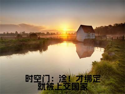 萧韶华全文免费大结局 时空门:淦!才绑定就被上交国家小说在线阅读
