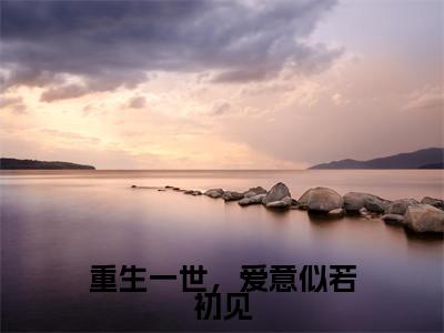 重生一世,爱意似若初见小说全文免费阅读 (黎锦儿顾青云)免费阅读全文免费阅读无弹窗大结局