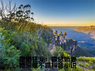 小说《隐婚狂宠：霸总娇妻她深藏不露》全文免费阅读无弹窗- 温听厉瑾小说全文在线赏析_笔趣阁