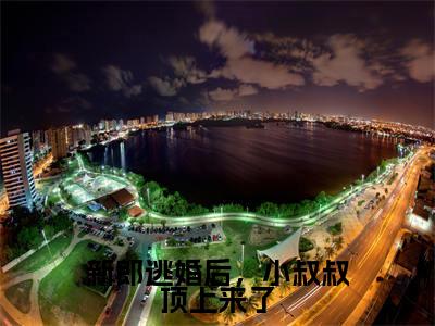 新郎逃婚后，小叔叔顶上来了（时云迟叶繁星）小说全文免费阅读无弹窗_（时云迟叶繁星）最新章节列表_笔趣阁