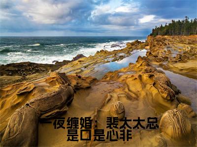 一夜缠婚:裴太太总是口是心非小说裴淮颂沈雅澜全文免费阅读(一夜缠婚:裴太太总是口是心非已完结)