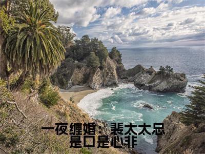 裴淮颂沈雅澜一夜缠婚：裴太太总是口是心非快手热文整理-裴淮颂沈雅澜小说一夜缠婚：裴太太总是口是心非今日更新章节