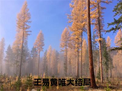  王易黄唯（重生1999：开局被清冷校花揍）全文免费阅读无弹窗大结局_（ 王易黄唯重生1999：开局被清冷校花揍全文免费阅读无弹窗）重生1999：开局被清冷校花揍最新章节列表_笔趣阁（ 王易黄唯）