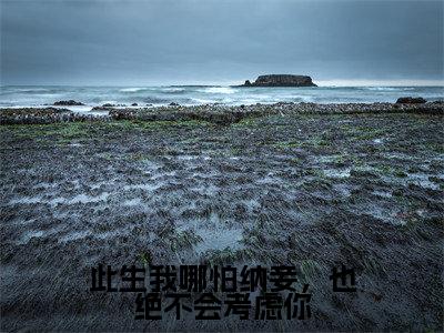 此生我哪怕纳妾,也绝不会考虑你小说(韩楚玥凌冀北楚泠霜)最新章节阅读-此生我哪怕纳妾,也绝不会考虑你(韩楚玥凌冀北楚泠霜)免费阅读无弹窗大结局