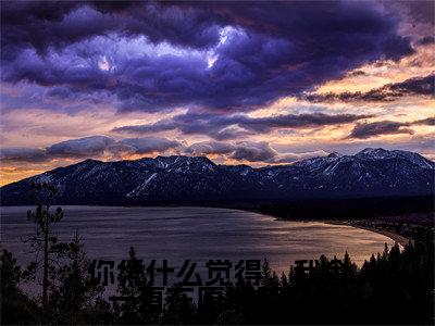 你凭什么觉得,我会一直在原地等你?(时若宸)小说免费阅读-你凭什么觉得,我会一直在原地等你?(时若宸)已完结全集大结局小说