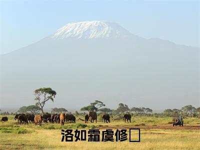 虞修璟洛如霜（洛如霜虞修璟）全文免费阅读_（洛如霜虞修璟）虞修璟洛如霜最新章节小说免费阅读_笔趣阁（洛如霜虞修璟）