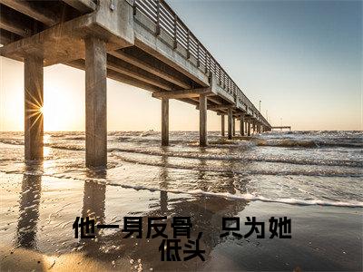 他一身反骨，只为她低头（江迟沈优）全文免费阅读无弹窗大结局_他一身反骨，只为她低头（江迟沈优）全文阅读_笔趣阁