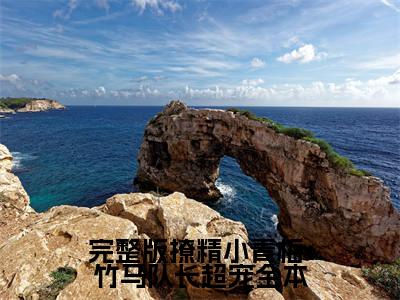 小说完整版撩精小青梅：竹马队长超宠全文免费阅读无弹窗大结局_（ 江轶津何汀渔）全文在线阅读