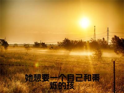 叶寻欢秦烁 全文免费阅读无弹窗(她想要一个自己和秦烁的孩)小说-叶寻欢秦烁 小说免费阅读