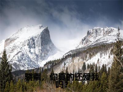 虞非晚裴骁南免费版最新更新阅读- 骁南,你真的还爱我吗?小说全文在线阅读