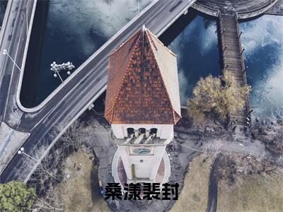 主角为裴封桑漾的小说(桑漾裴封)大结局免费阅读-桑漾裴封全文免费阅读笔趣阁