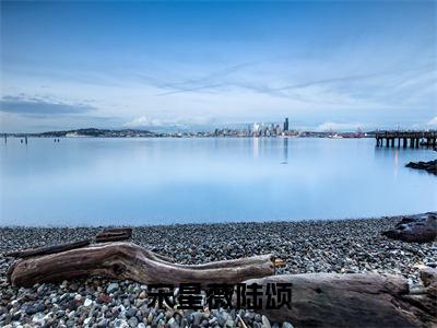 宋星薇陆颂免费小说-宋星薇陆颂完结版在线阅读