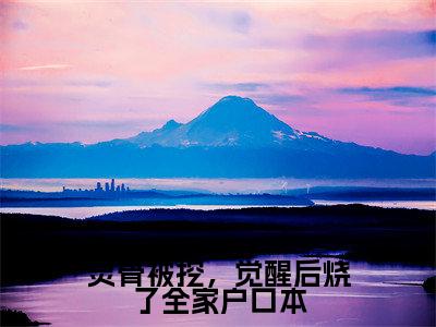 灵骨被挖，觉醒后烧了全家户口本（盛灵澜祝九溟）小说全文免费阅读无弹窗大结局_（盛灵澜祝九溟免费阅读）灵骨被挖，觉醒后烧了全家户口本最新章节列表笔趣阁