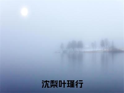 沈梨叶瑾行(叶瑾行沈梨)小说在线阅读_沈梨叶瑾行全本免费小说阅读(叶瑾行沈梨)