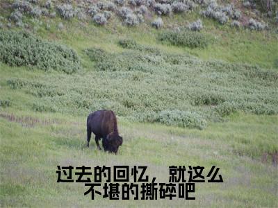 过去的回忆，就这么不堪的撕碎吧(秦瑜顾风城)免费全文阅读小说_过去的回忆，就这么不堪的撕碎吧最新章节列表-笔趣阁（秦瑜顾风城）