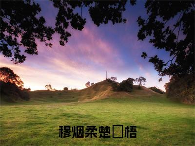 穆烟柔楚瑄梧(楚瑄梧穆烟柔)是哪部小说的主角-穆烟柔楚瑄梧(楚瑄梧穆烟柔)全文无弹窗完整版阅读