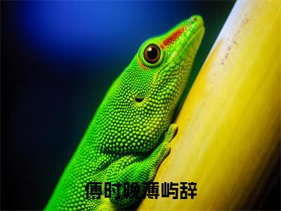 傅时晚薄屿辞(薄屿辞傅时晚)在线阅读-傅时晚薄屿辞小说薄屿辞傅时晚完整版免费阅读